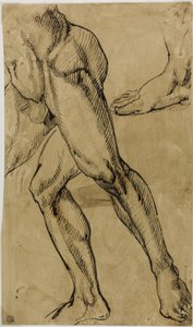 Jambes et pieds de nu masculin - Michelangelo Buonarroti