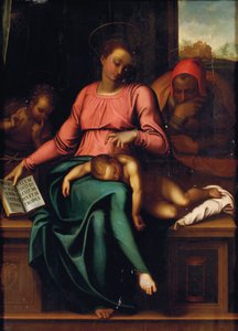 Madonna del Silenzio - Michelangelo Buonarroti