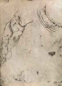 Jambes masculines - Michelangelo Buonarroti
