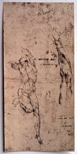 Homme nu, étude de bras - Michelangelo Buonarroti