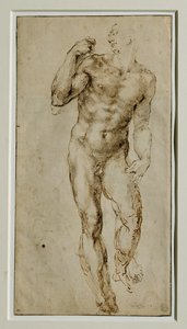 Nu masculin, vue de face, vers 1502-1506 … - Michelangelo Buonarroti