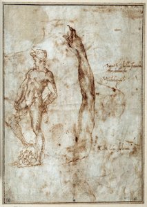 Étude de nu. Michelangelo Buonarroti dit Michel-Ange - Michelangelo Buonarroti