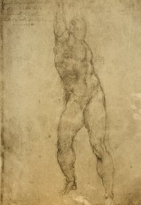 Étude de nu - Michelangelo Buonarroti