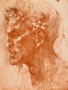 Tête de satyre - Michelangelo Buonarroti