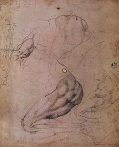 Plafond de la Chapelle Sixtine (1508-12) : croquis de la figure d