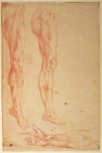 Études de jambes et de bras - Michelangelo Buonarroti