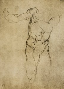 Étude pour un buste masculin - Michelangelo Buonarroti