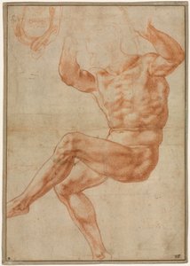 Étude pour le Jeune Homme Nu au-dessus du Prophète Daniel (recto) - Michelangelo Buonarroti