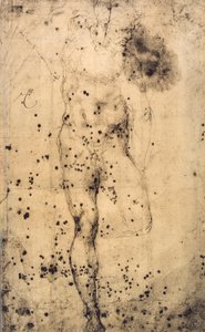Étude d