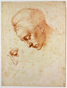 Étude pour la tête de Léda, vers 1530 - Michelangelo Buonarroti