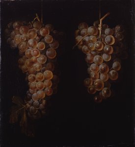 Grappe de raisins - Miguel de Pret