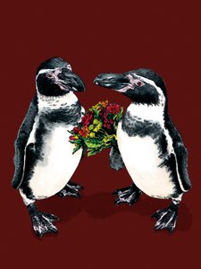 Pingouins d