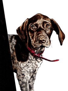 Au Revoir Chiot sur Blanc, 2020