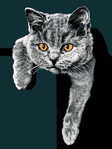 Flora Le Chaton sur Cyan Profond - Mike Davis
