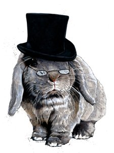 Lapin Bonbon sur Blanc, 2020 - Mike Davis