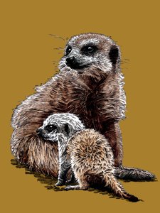 Nouveau bébé suricates sur jaune doré, 2020