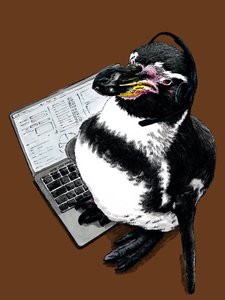 Nouveau Job Pingouin sur Orange Brûlé, 2020