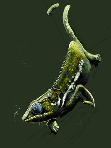 Le Caméléon sur vert forêt, 2020 - Mike Davis