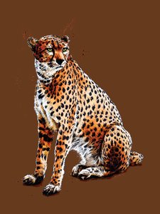 Le Guépard sur orange brûlé, 2020 - Mike Davis