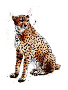 Le Guépard sur blanc, 2020 - Mike Davis