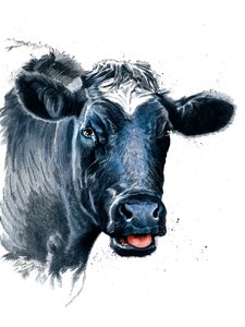 La Vache sur Blanc - Mike Davis