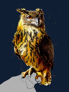 Le Hibou Grand-Duc sur Bleu Nuit