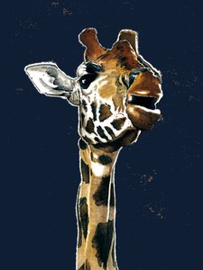 La Girafe sur Bleu Minuit