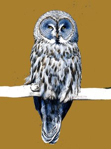 Le Grand Hibou Gris sur Jaune Doré - Mike Davis
