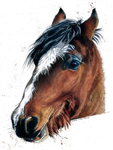 Le cheval sur blanc, 2020 - Mike Davis