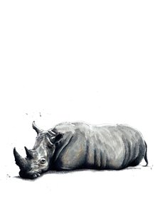 Le Rhinocéros sur Blanc - Mike Davis
