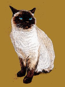 Le chat siamois sur fond jaune doré, 2020