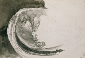 Moule perlière, 1904