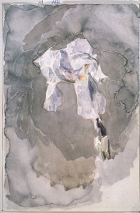 Iris blanc - Mikhail Aleksandrovich Vrubel
