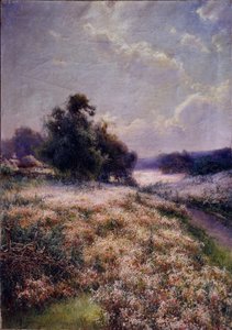 Prairie en fleurs, 1906