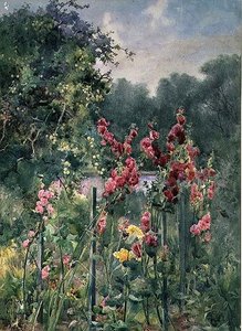 Rose trémière - Mildred Anne Butler