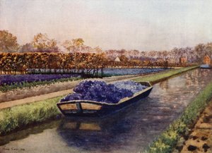 Un Bateau de Parfum - Mima Nixon