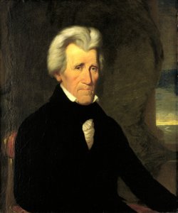 Andrew Jackson - Miner Kilbourne Kellogg
