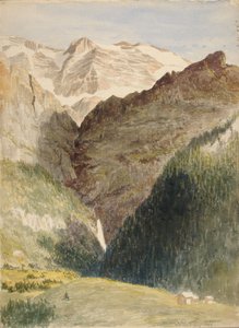 Glacier et chutes
