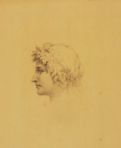 Tête idéale pour l