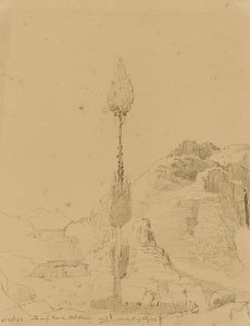 Chêne sur le mont Sinaï - Miner Kilbourne Kellogg