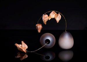  - Ming Chen