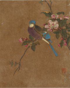 Dix images d