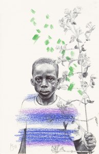 La plante colorée de l