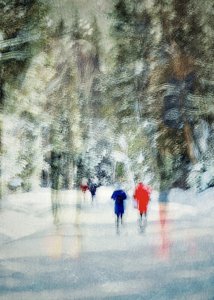 Promenade dans la forêt en hiver - Molly Fu APA