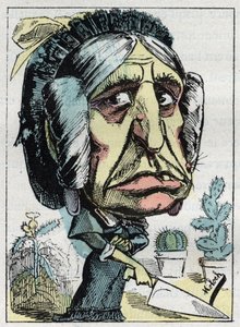 Allégorie de la "belle-mère" dans "Le Trombinoscope" par Touchatout, caricature de B. Moloch de 1882 (1849-1909). Collection privée.