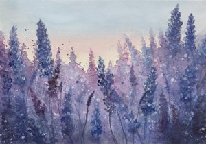 Lueur du coucher de soleil à la lavande