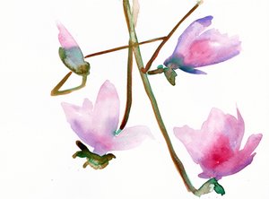 Magnolia 1, 2022 - Monica Perez Vega