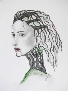 Mort des arbres - Monika Wittrich
