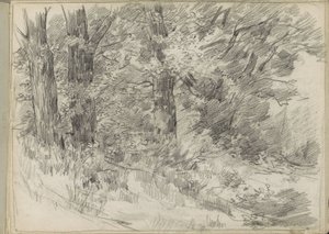 Paysage forestier - Monogrammist DS (tekenaar)