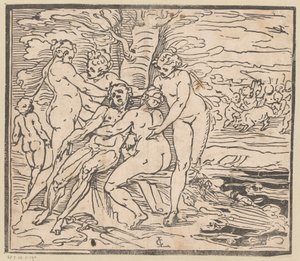 Vénus pleure la mort d